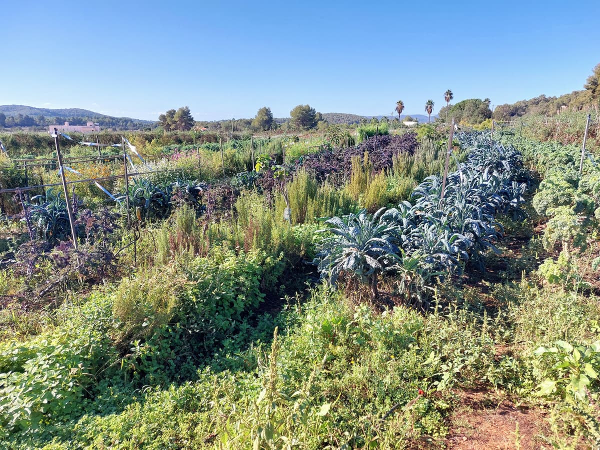 PATH2CC Project Page Now Live on the EIT Food Website