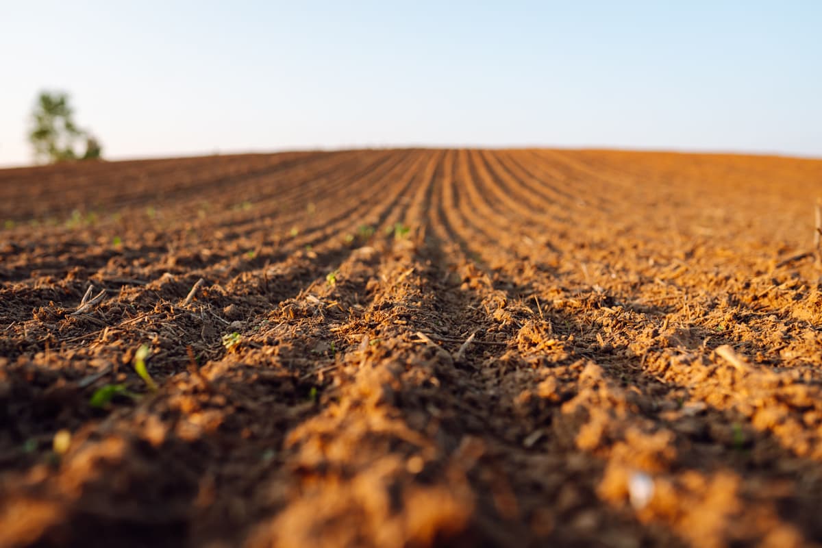 Early Season Droughts: Threat to Sustainable Milk Production in Northern Latitudes?