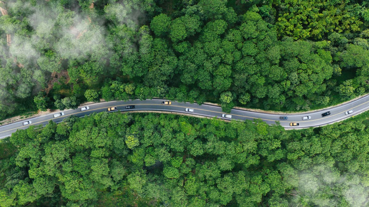 Sustainability shaping consumer behaviour – or does it? 