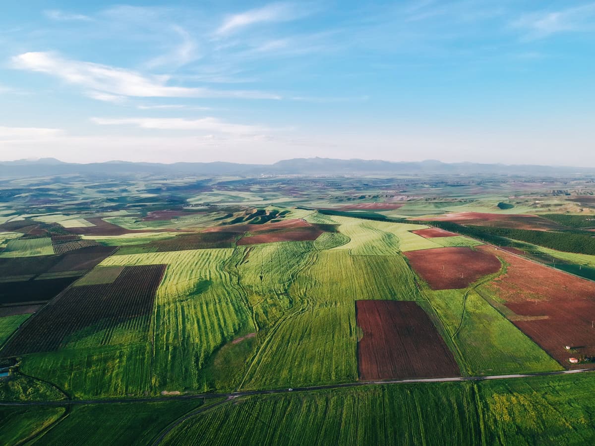 CRCF Is Changing the Carbon Credits Market