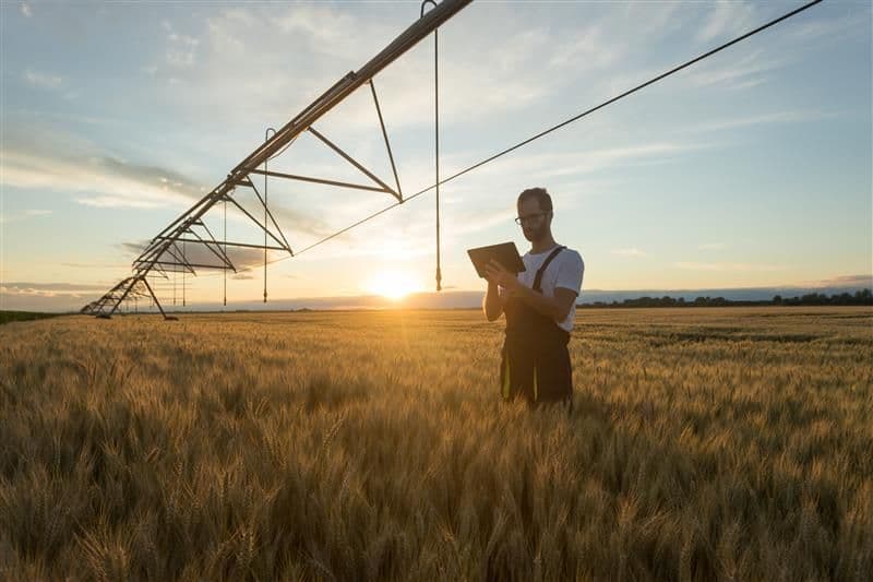 Sustainability as a Competitive Advantage